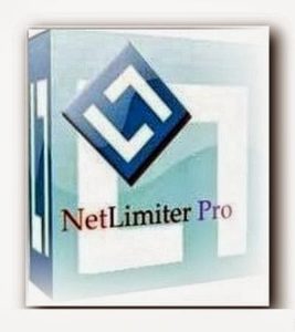 download netlimiter pro key