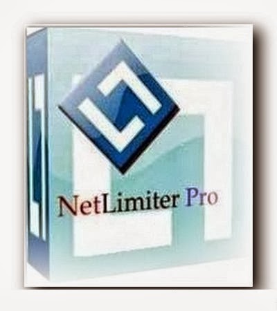 netlimiter 4 license
