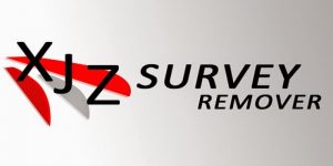 XJZ Survey Remover Key