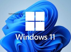 Windows 11 Activator Download
